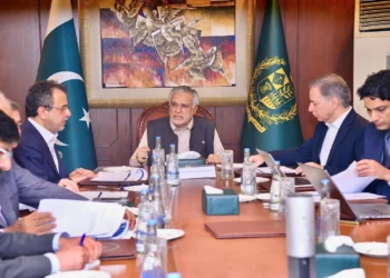 Govt committed to financial discipline without burdening public: DPM