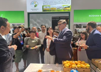 Pakistan Pavilion Inaugurated at China-Eurasia Expo in Urumqi, with Pakistani mangoes in great demand