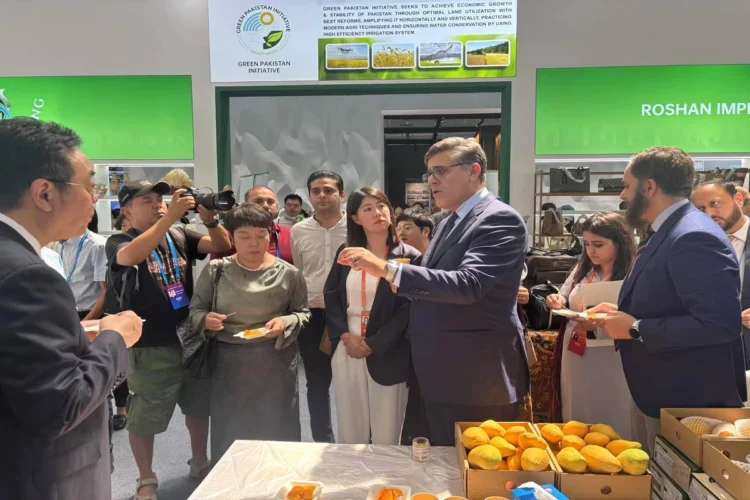 Pakistan Pavilion Inaugurated at China-Eurasia Expo in Urumqi, with Pakistani mangoes in great demand