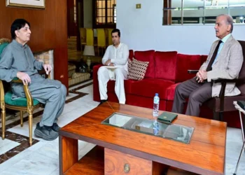 PM Shehbaz holds meeting with Chaudhry Nisar