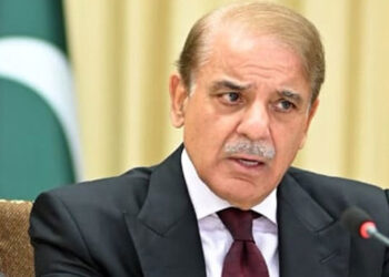 PM Shehbaz directs NDMA to coordinate with provinces in wake of heavy rains