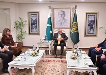 ASEAN Heads of Missions in Pakistan call on Ishaq Dar