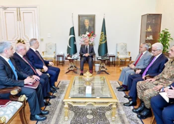 Pakistan, Türkiye pledge to elevate ties into strategic partnership during high-level meeting in Islamabad