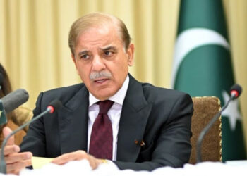 PM Shehbaz lauds FBR, IB for boosting tax revenue through joint crackdown on evasion and hoarding