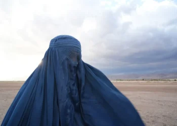 Karlovy Vary Festival Unveils “Cinema Jazireh,” A Haunting Tale of Survival in Afghanistan