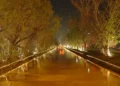 Not a single tree be cut on canal road under any project: LHC