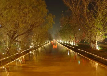 Not a single tree be cut on canal road under any project: LHC
