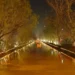 Not a single tree be cut on canal road under any project: LHC