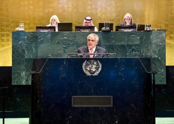 Gaza a Graveyard of International Law, Says Ishaq Dar at UN Conference; Urges Full Palestinian Statehood