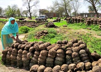 Chief Minister Punjab Maryam Nawaz launches “Shandar Suthra Punjab – Waste to Value” Project