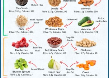 Beyond Protein: Why Fiber Deserves a Place in Your Diet Plan