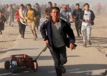 UN: Nearly 800 Killed Near Gaza Aid Points, Slams U.S.-Israel Backed GHF Plan