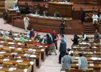 Punjab Assembly Session Erupts in Chaos as Opposition Lawmaker Slaps Government Member