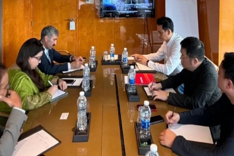 Chinese delegation shows interest in investing in IT sector