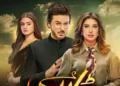 Geo TV’s Prime Time Drama Dayan Draws Criticism for Dragged Storyline