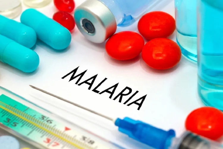 Pakistan unveils promising new single-dose Malaria drug, Tafenoquine, amidst funding cuts