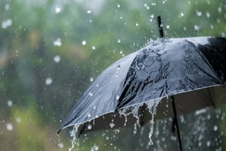 Rain expected in upper and southern regions of Pakistan in next 12 hours