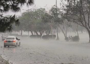 Punjab Braces for Intense Monsoon Spell as Death Toll from Rain-Related Incidents Rises to 216 Nationwide