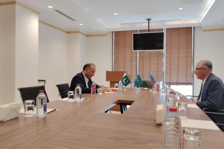 Pakistan, Azerbaijan discuss stronger climate cooperation ahead of COP-29