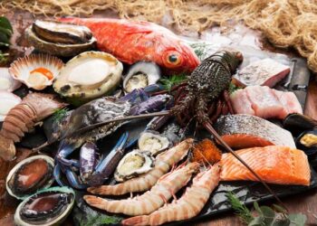 Pakistan’s seafood exports to Vietnam rise 20%, reaching $9 million