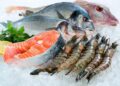 Seafood Exports Jump to $489 Million; Minister Hails 20% Growth