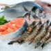 Seafood Exports Jump to $489 Million; Minister Hails 20% Growth