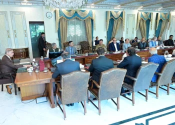 No Compromise on Merit, Transparency in Expert Hiring: PM Shehbaz