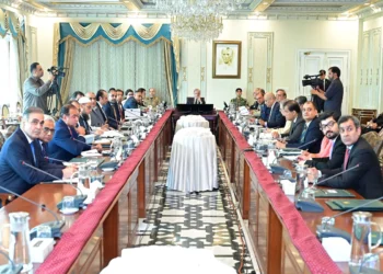 PM Shehbaz Sharif emphasizes economic digitization for transparency and public convenience