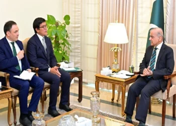 Prime Minister Shehbaz Sharif lauds progress in Pakistan-Kyrgyzstan cooperation