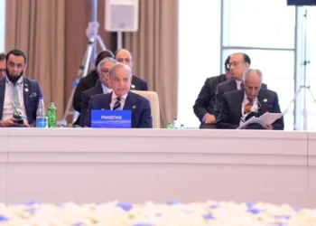 PM Shehbaz calls for regional cooperation to confront global challenges