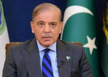 PM expresses sorrow over wildfires in Türkiye’s Izmir province