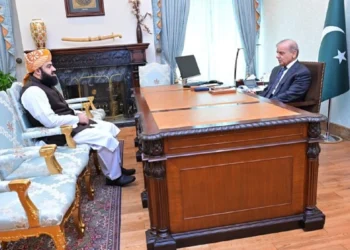 JUI-F leader calls on PM Shehbaz Sharif