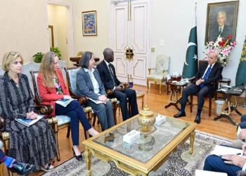 PM Shehbaz Reaffirms Pakistan’s Commitment to Peace, Development in Meeting with World Bank Official
