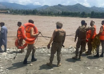 PHC Directs Swift Identification of Officials Negligent in Swat Tragedy