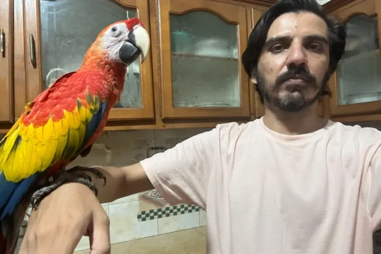 How selling parrots to a Pakistani journalist led to a locked bank account