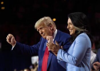 Trump Praises Tulsi Gabbard for Exposing Alleged Obama-Era Coup Plot Against Him