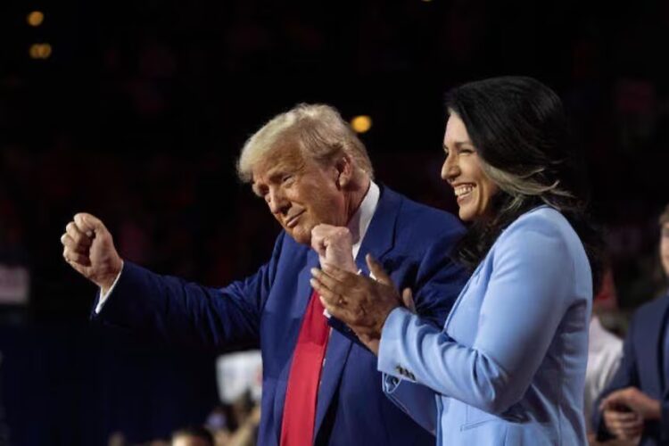 Trump Praises Tulsi Gabbard for Exposing Alleged Obama-Era Coup Plot Against Him