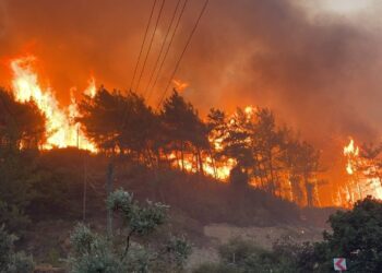 Over 50,000 people evacuated as Türkiye battles widespread forest fires