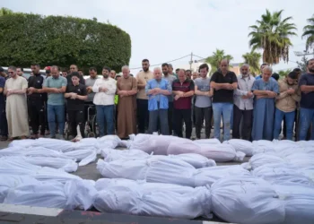 Israel has killed 613 aid seekers in Gaza since late May, says UN