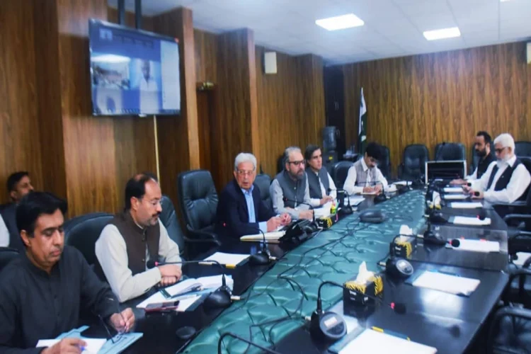 Federal Minister chairs high-level meeting to boost Cotton production in Pakistan