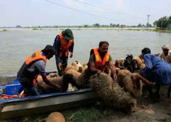 Flood Evacuations in Punjab Amid Rising Rivers, Pakistan Raises Alarm Over India’s Water Releases