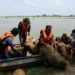 Flood Evacuations in Punjab Amid Rising Rivers, Pakistan Raises Alarm Over India’s Water Releases