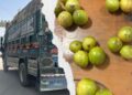 Afghanistan Blocks 15 Tons of Pakistani Lemons Over Citrus Canker Scare