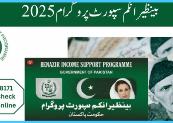 PAC Urges Action Against Officials Misusing BISP Funds