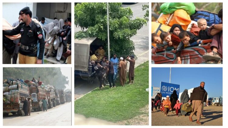 Islamabad Police Detain Afghan Nationals Awaiting German Relocation, Deportation Fears Grow