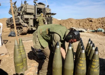 Council of Europe Urges Members to Curb Arms Sales to Israel Amid Human Rights Concerns