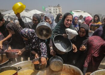 Amid Rising Global Outcry, U.S. Envoy Heads to Gaza to Review Aid Efforts as Starvation Crisis Worsens