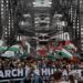 Massive Protest on Sydney Harbour Bridge Demands Gaza Ceasefire and Humanitarian Aid
