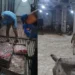 FIA Launches Probe into Viral Donkey Meat Allegations; Over 365 Social Media Accounts Under Scrutiny
