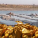 KP Government Orders High-Level Inquiry into Placer Gold Auction Scandal
